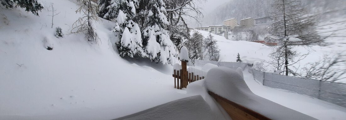 A snowy landscape with tall, snow-covered trees. The snow covers the ground and creates a peaceful, wintry atmosphere. - Ferienhaus Anna - Sölden