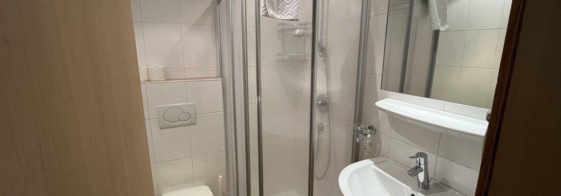 A modern bathroom with a shower cubicle and a sink. There is a toilet and bright tiled walls. - Franzele Appartements & Zimmer - Sölden