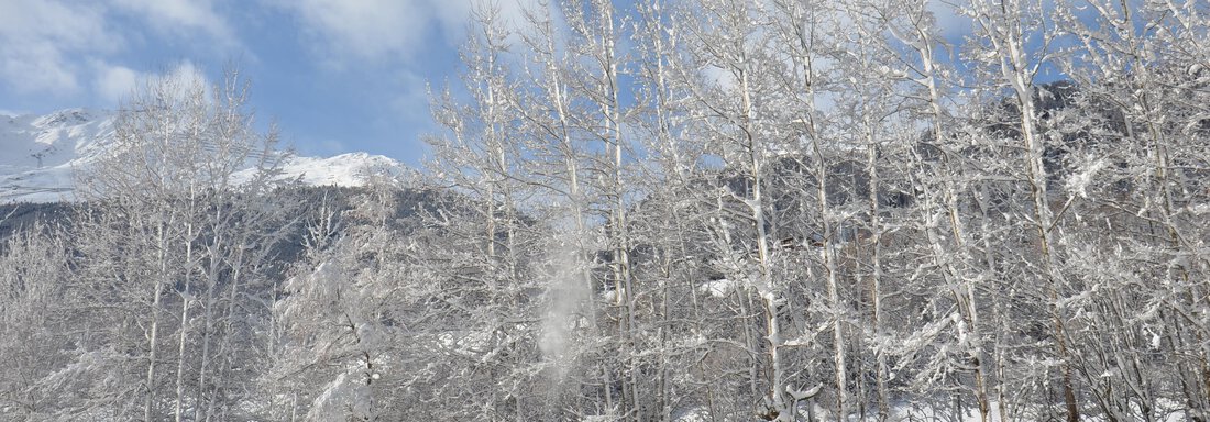 Aussicht Winter - Garni Columbia - Sölden