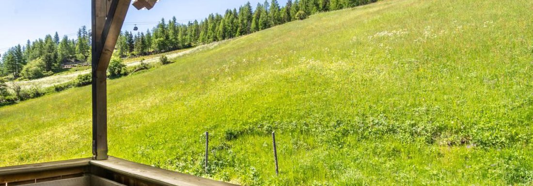 A view from a balcony onto a green meadow and wooded hills. The sky is clear and blue. - Garni Nadine - Sölden