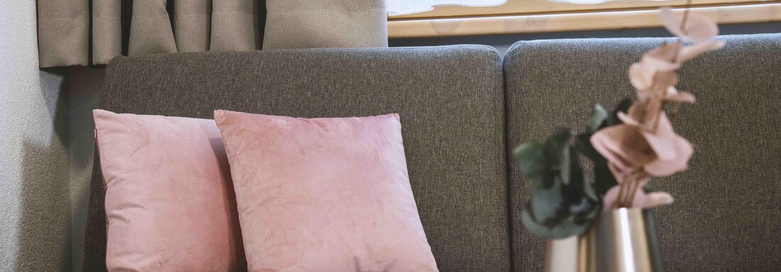 A cozy sofa with two pink cushions. On the table is a modern vase with dried flowers. - Gästehaus Europa - Sölden