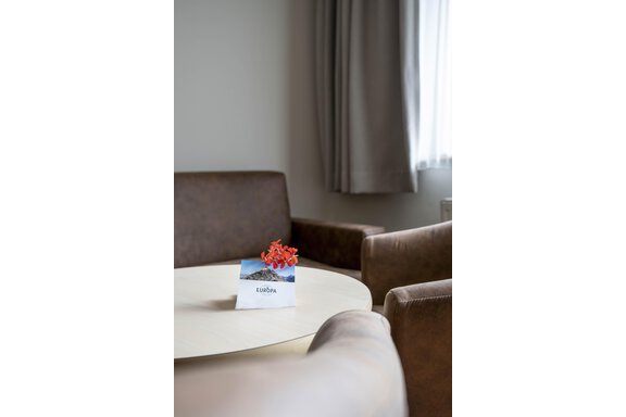 A cozy seating area with two brown armchairs and a table. On the table is a small vase with red flowers and a card. - Gästehaus Europa - Sölden