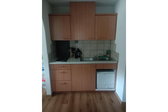 A small kitchen with wooden cabinets and a sink. It includes a stove, a kettle, and a dishwasher. - Gästehaus Sternberger - Sölden