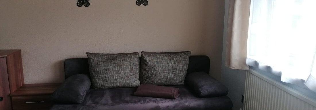 A cozy living room with a gray sofa and decorative wall flowers. A glass table stands in front of the sofa, and the room has windows with bright curtains. - Gästehaus Sternberger - Sölden