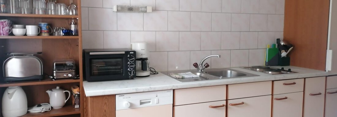 A modern kitchen with a wooden shelf that holds glasses and kitchen appliances. The countertop has two sinks and several kitchen cabinets. - Gästehaus Sternberger - Sölden