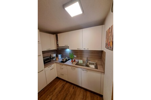 A small modern kitchen with bright cabinets and a silver sink. Kitchen utensils and a small plant are on the countertop. - Gästeheim Schmiedhof - Sölden