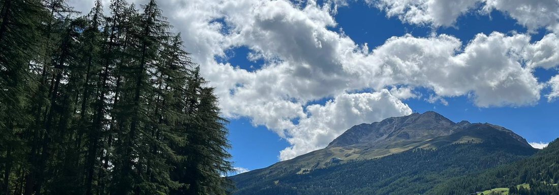 A picturesque landscape with green meadows and tall mountains. The sky is blue with many white clouds. - Gästeheim Schmiedhof - Sölden