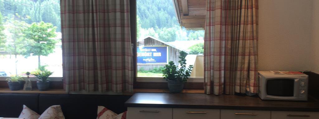 A cozy room with a windowsill, plants, and a microwave. Outside, you can see a green landscape and wooden buildings. - Haus Almrausch - Sölden