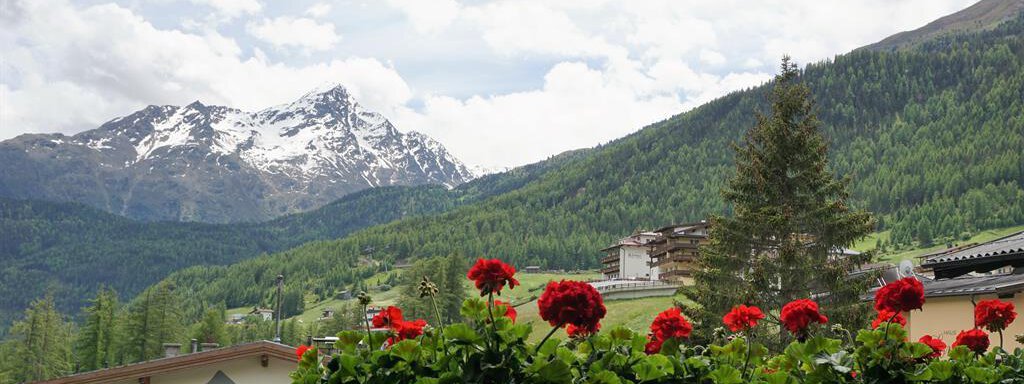 A picturesque mountain landscape with snow-capped peaks and green forests. In the foreground, red flowers are blooming. - Haus Alpenstern - Sölden