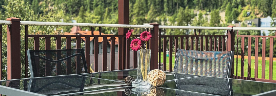 An elegant table on a terrace overlooking green hills. A vase with red flowers decorates the table. - Haus PIA by A CASA - Sölden