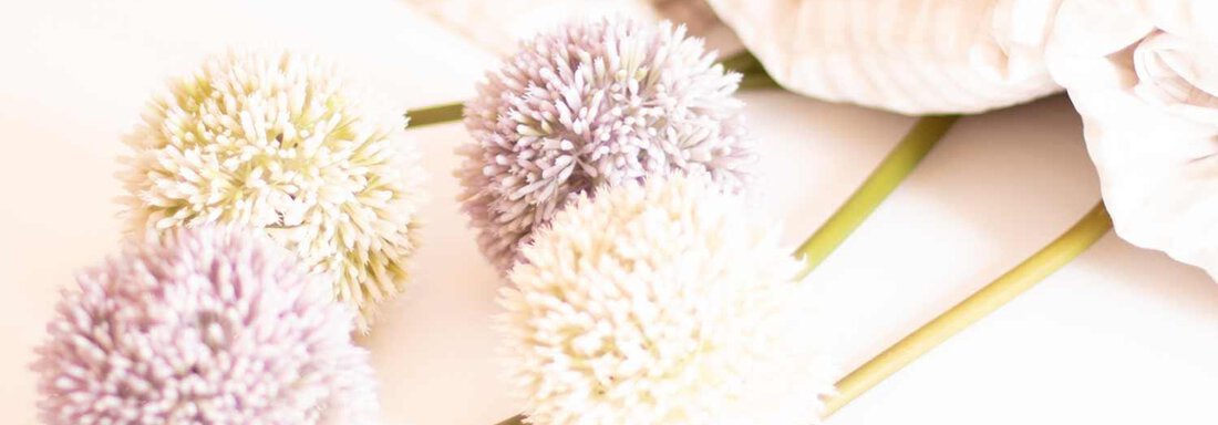 A lovely arrangement of round, blooming plants in soft colors. In the background is a striped blanket. - Haus Sonnwend - Sölden