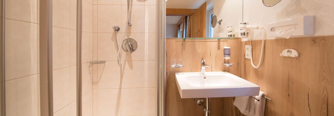 A modern bathroom with a shower cubicle and a sink. The walls are light and there is a large mirror. - Haus Stefanie - Sölden