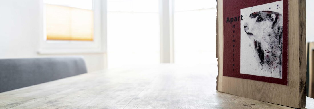 Murmeltier Murmeltier - Landhaus Martinus - Sölden