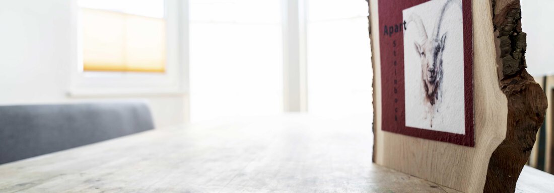 Steinbock Steinbock - Landhaus Martinus - Sölden