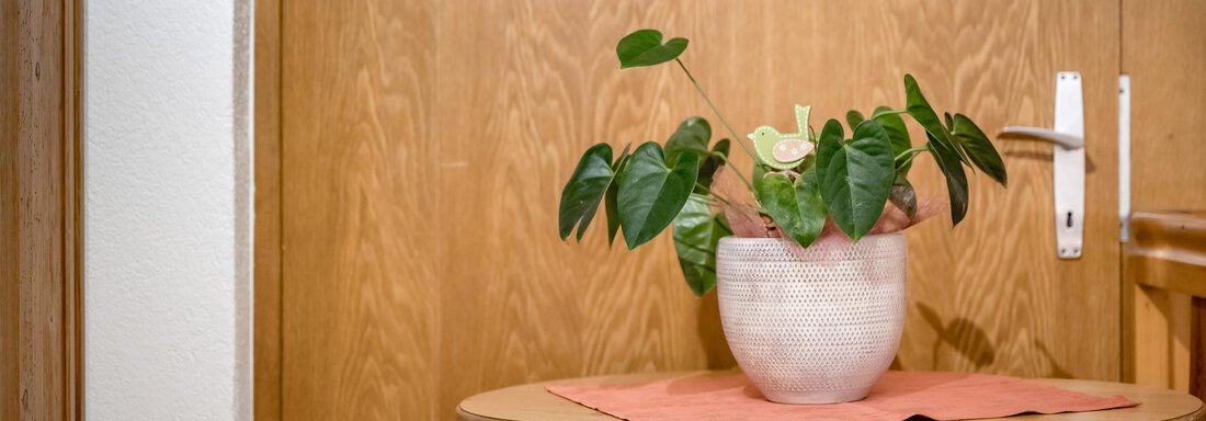 A plant in a pot is on a round wooden table. In the background, a wooden door can be seen. - Lyns Home - Sölden