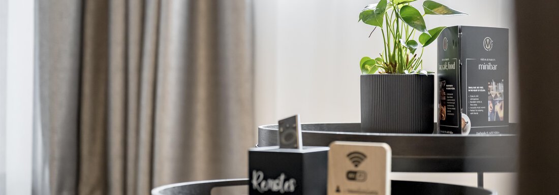 A stylish table with a plant and informational materials. The windows let in soft light. - Marco's Mountain Home - Sölden