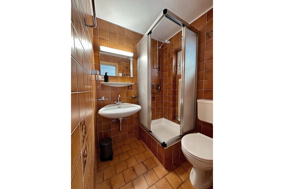 A modern bathroom with brown tiles. It features a shower, a sink, and a toilet. - Mountain Lodge Sölden - Sölden