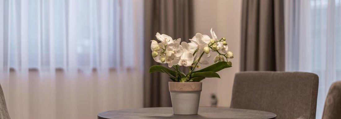 A modern living space with two gray armchairs and a small table. On the table, there is a beautiful pot with white orchids. - Pension Miramonte - Sölden