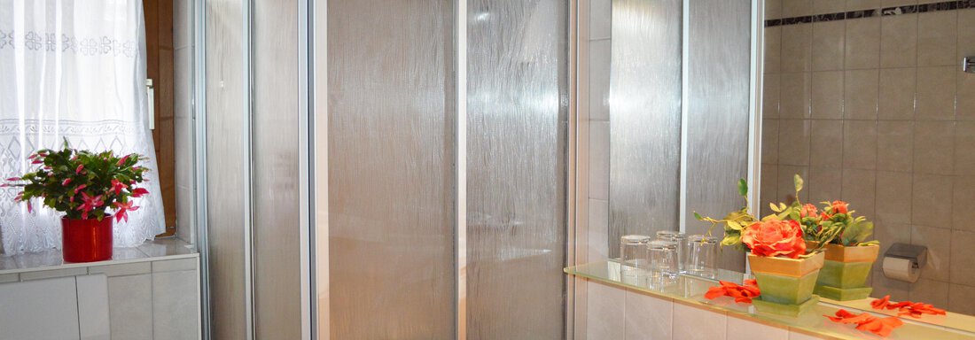 A modern bathroom with a shower cabin and a sink. Plants and towels create an inviting look. - Pension "Zur alten Mühle" - Sölden