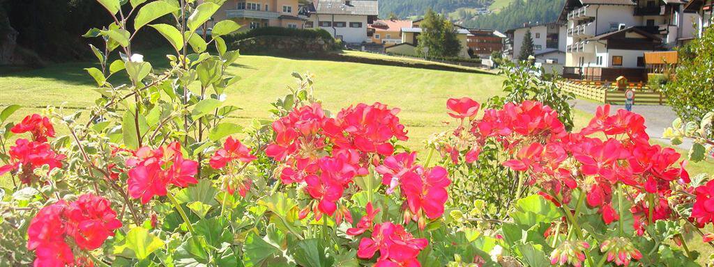 Colorful geraniums are blooming on a windowsill overlooking the mountains. In the background, a picturesque landscape with houses and meadows unfolds. - Top Apart Daniela - Sölden