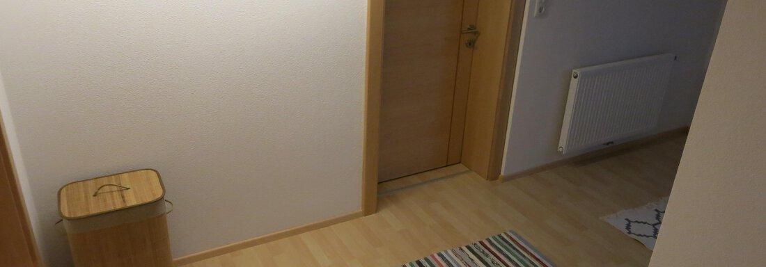 A bright hallway with a wooden plank floor and a striped doormat. A trash can stands next to the wall and a closed door is visible. - Apart Martina - Umhausen