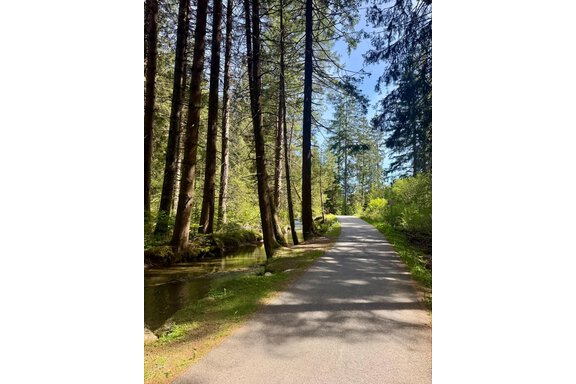 Ein ruhiger Waldweg umgeben von hohen Bäumen und frischem Grün. Neben dem Weg fließt ein kleiner Bach. - Appartement Bergglück - Umhausen