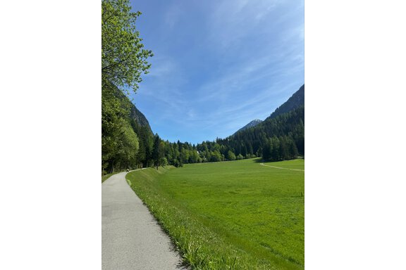 Eine malerische Landschaft mit einem schmalen Weg, umgeben von saftigem Grün und hohen Bäumen. Der Himmel ist klar und blau, während die Berge im Hintergrund sichtbar sind. - Appartement Bergglück - Umhausen