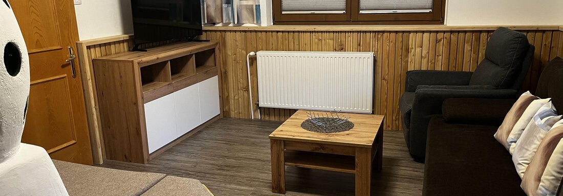 Wohnzimmer Appartement - Appartement Elisabeth - Umhausen