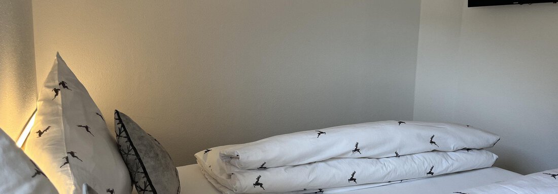 Ein gemütliches Zimmer mit einem Doppelbett und modernen Kissen. An der Wand hängt ein Flachbildfernseher. - BLANKA'S Apart Auszeit - Umhausen