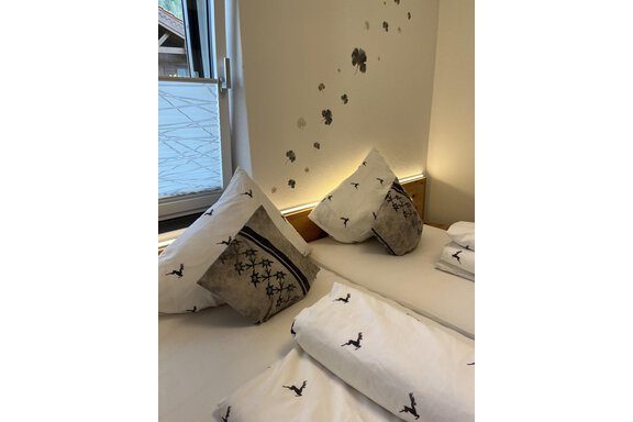 Ein gemütliches Schlafzimmer mit zwei Betten und dekorativen Kissen. Die Wände sind mit kleinen Blumen und einem Fenster mit Tageslicht geschmückt. - BLANKA'S Apart Auszeit - Umhausen