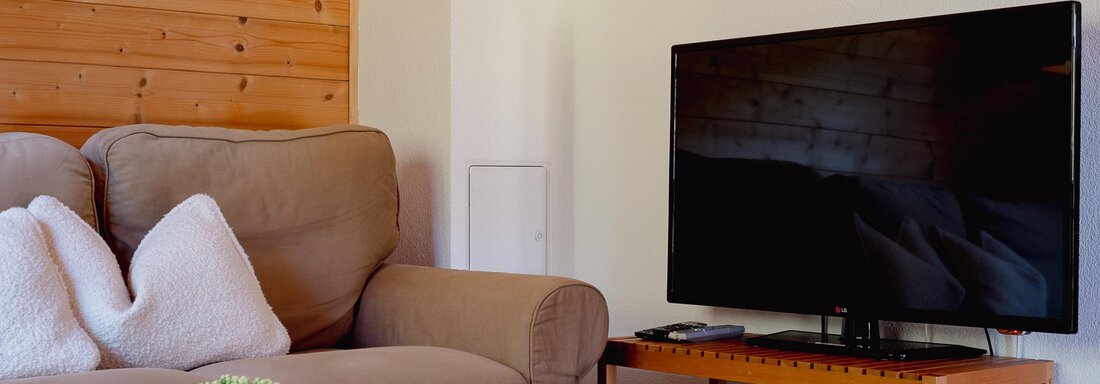 A cozy living room with a sofa and a television. On the table is a small plant in a pot. - Chalet Carla - Umhausen