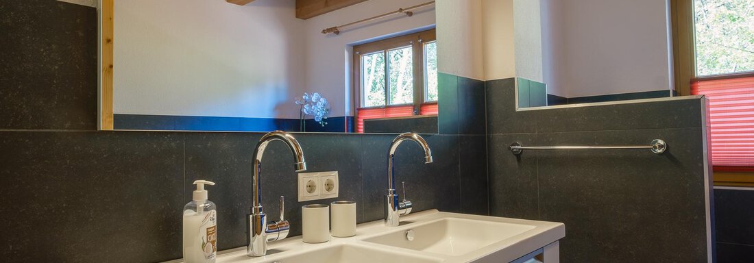 A modern bathroom with a double sink and elegant fixtures. Large windows provide plenty of daylight. - Chalet Carla - Umhausen