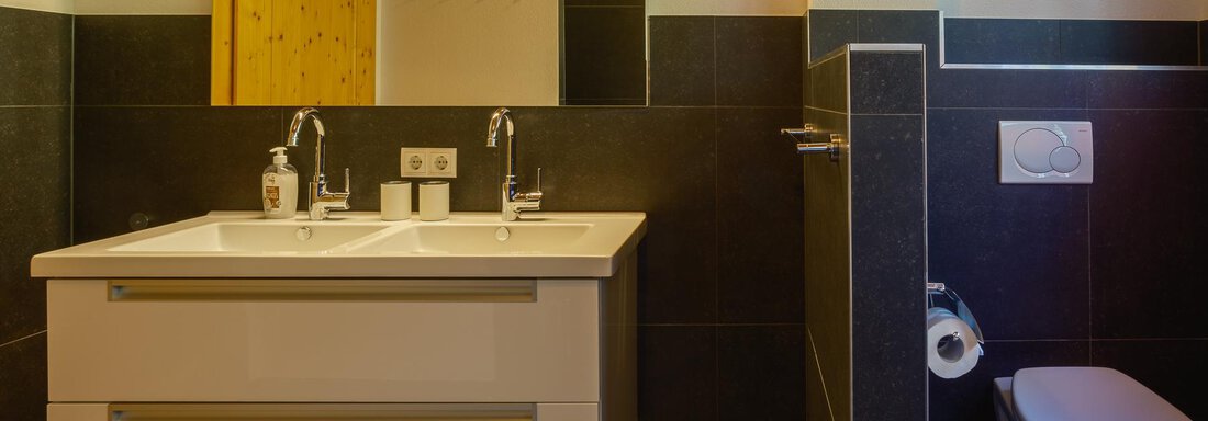 A modern bathroom with a double sink and two washbasins. The walls are painted in dark colors, and there is a toilet in the corner. - Chalet Carla - Umhausen