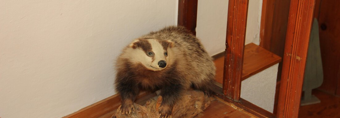  - Ferienhaus Veitelach Hof - Umhausen