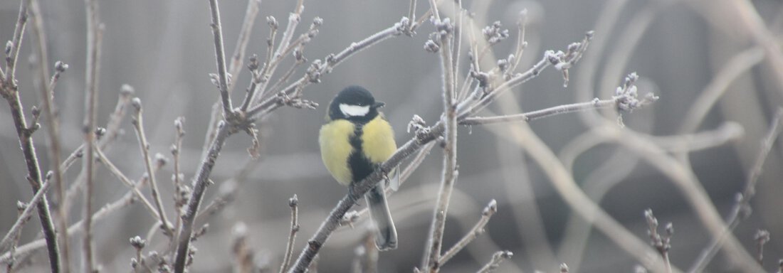  - Ferienhaus Veitelach Hof - Umhausen