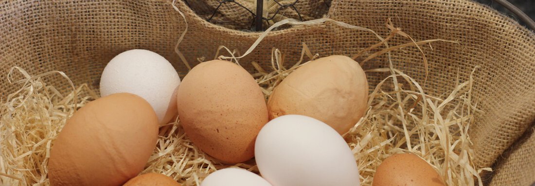Frühstückseier - Ferienhaus Veitelach Hof - Umhausen