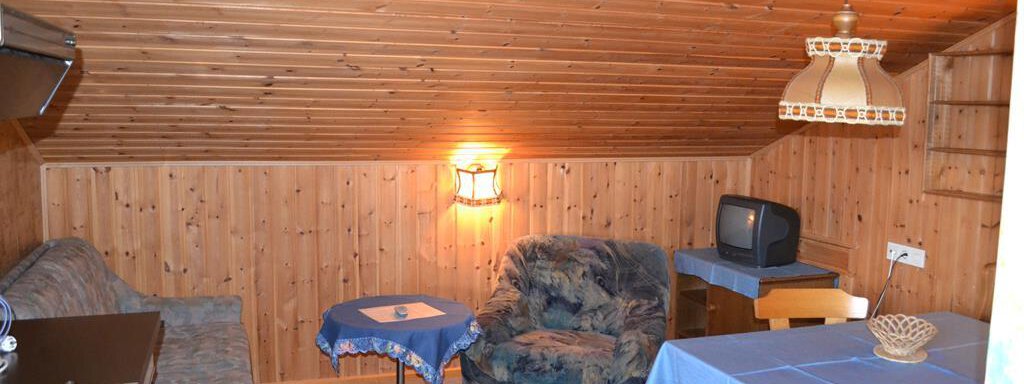 A cozy room with wooden walls and a sloping roof. The furnishings include a sofa, a table, and a television. - Appt. Garni Anny - Vent