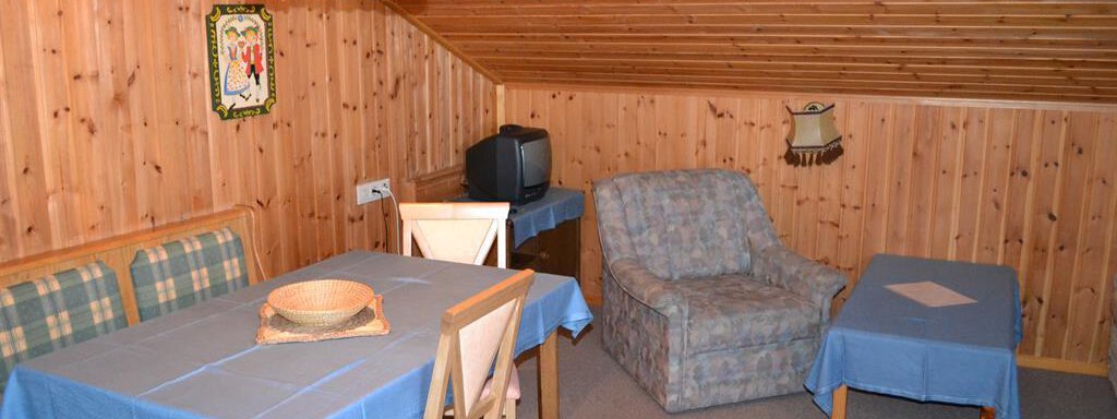A cozy room with wooden walls and a sloping roof. There is a table, chairs, and a couch, as well as a television in the corner. - Appt. Garni Anny - Vent