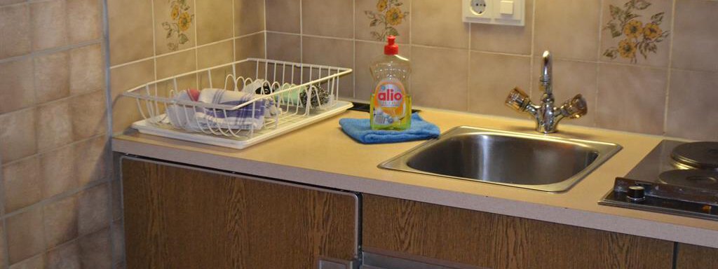 A small kitchen with wooden cabinets and a sink. On the countertop, there is dish soap and a drain rack. - Appt. Garni Anny - Vent