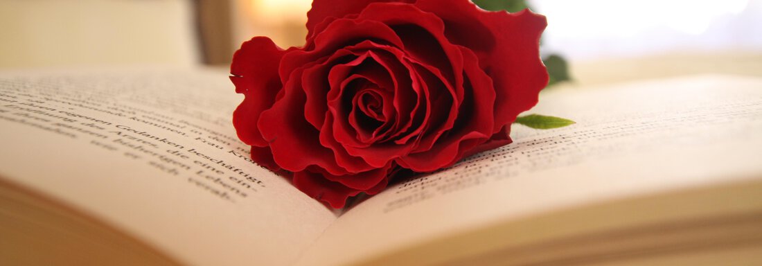 A red rose lies on an open book. In the background, a blurry room with warm light can be seen. - Gästehaus Edelweiss - Vent