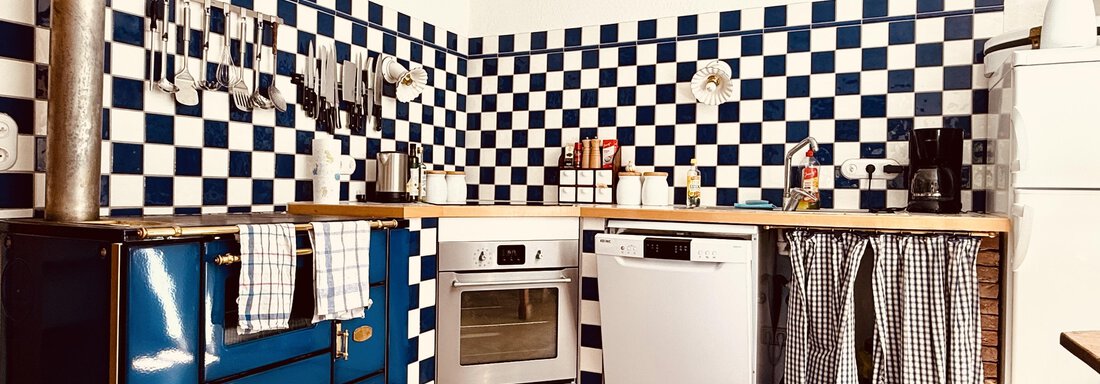 A modern kitchen with blue and white walls. There is a stove, an oven, and a dishwasher, as well as various kitchen utensils. - Haus Freistabl - Vent