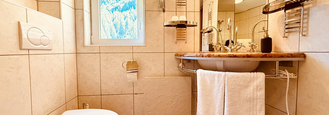 A modern bathroom with bright tiles and a large mirror. On the wash area, there are two clean towels and there is a window with a view outside. - Haus Freistabl - Vent